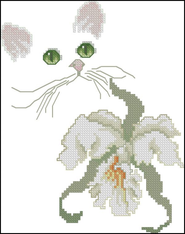 Вышивка крестом Кошка с орхидеей