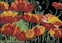 ChM2006 Gorgeous Poppies