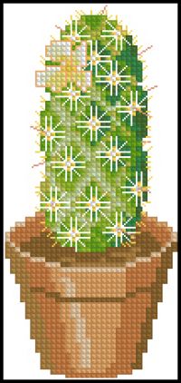 Cactuses 1