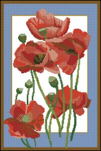 Poppies Frame