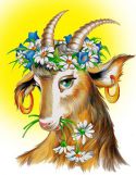 Цветущая козочка