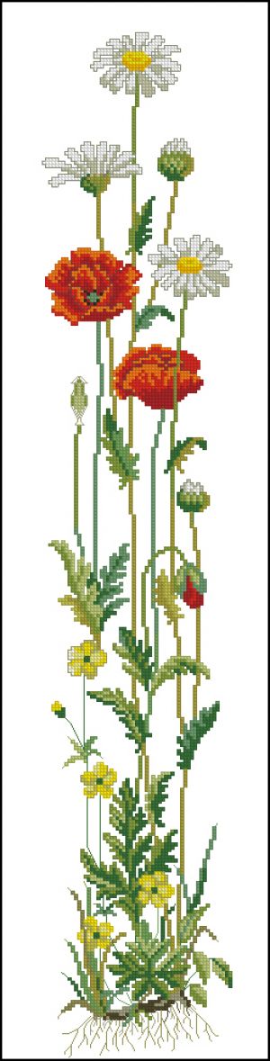 Вышивка крестом Маки с ромашками