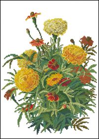 Вышивка крестом Бархатцы