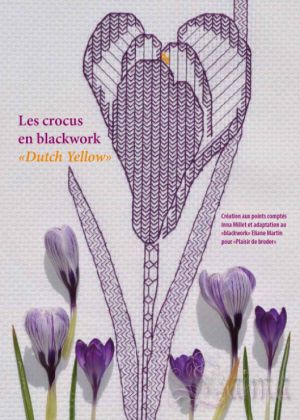 Крокус фиолетовый