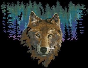 Взгляд ночи