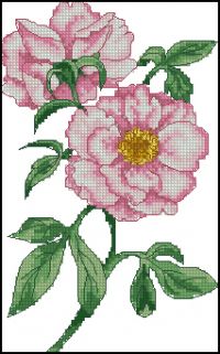 Anchor AD167 Peony