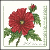 Carolyn Meacham Hibiscus