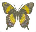 схема вышивки крестом бабочка