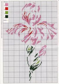 Розовая нежность