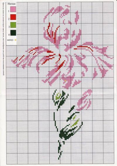 Розовая нежность