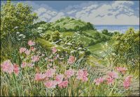 Anchor APC943 Near the coast