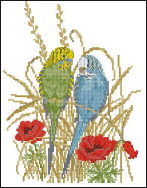 Волнистые попугайчики