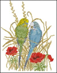 Волнистые попугайчики