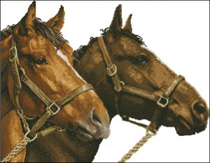 Компаньоны