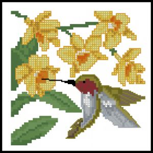 Желтый цветок и колибри