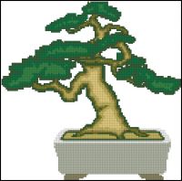 Bonsai 1