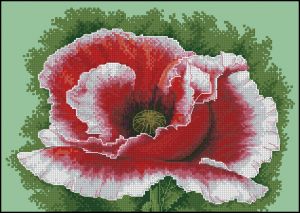 Вышивка крестом Цветущий мак