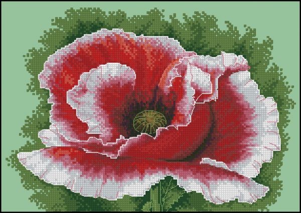 Вышивка крестом Цветущий мак