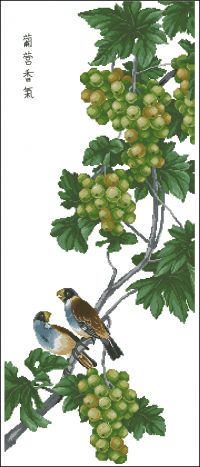 В тени винограда