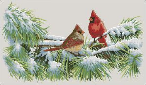 Зимние кардиналы