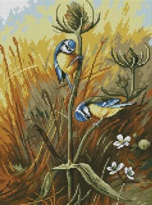 Чертополох и синички