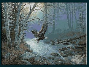 Свободный полет