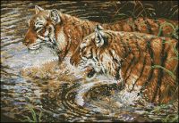 Anchor EX 107 Grace and Danger