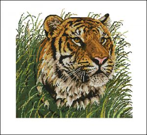 Свободная жизнь