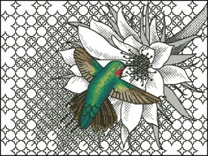 Колибри у цветка