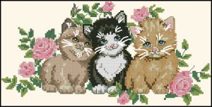 Трио котиков