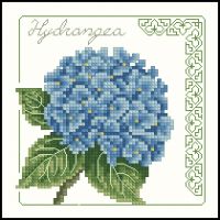 Carolyn Meacham Hydrangea