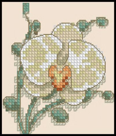 схема для вышивки крестом Белая орхидея