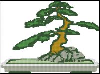 Bonsai 3