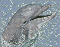 Вышивка крестом Улыбка дельфина