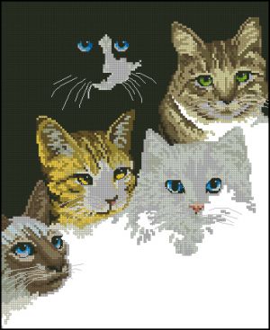 Кошачий взгляд