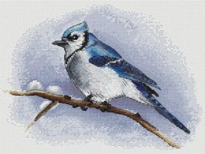 Вышивка крестом Голубая сойка