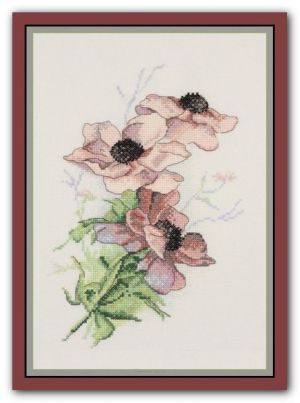 Пепельные анемоны