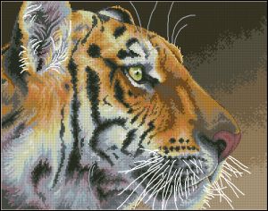 Dimensions 35171 Regal Tiger