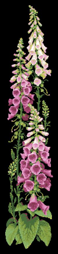 Вышивка крестом Наперстянка