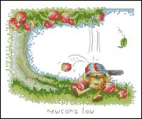 Anchor NL07 Newton Law