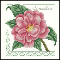 Carolyn Meacham Camellia