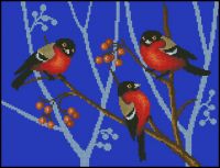 ChM2007-1 Robins Winter