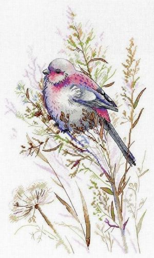 В осенних травах