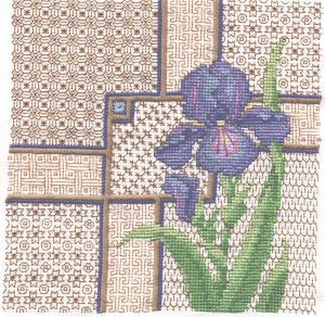 Ирис синий - блекворк