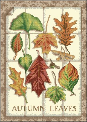 Осенние листья