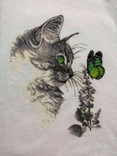 Вышивка крестом Кот и зеленая бабочка