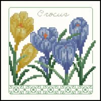 Carolyn Meacham Crocus