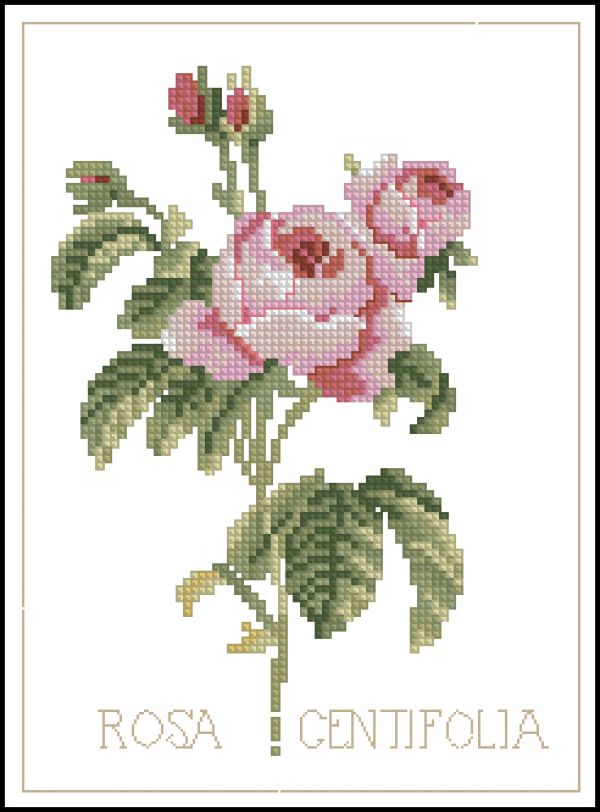 Вышивка крестом Rosa Sentipolia