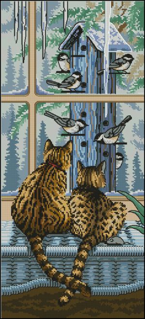 Кто за кем наблюдает?