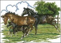 12473 Horses with foal